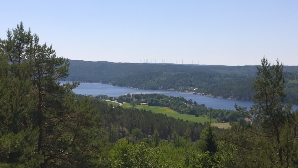 Formiddagstur